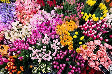 据报道索尼计划发布新的硬件 包括PS5“Pro”手柄